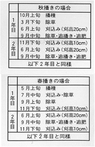 ワイルドフラワー管理の手順